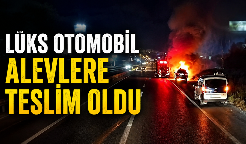 Bursa'da lüks otomobil alevlere teslim oldu