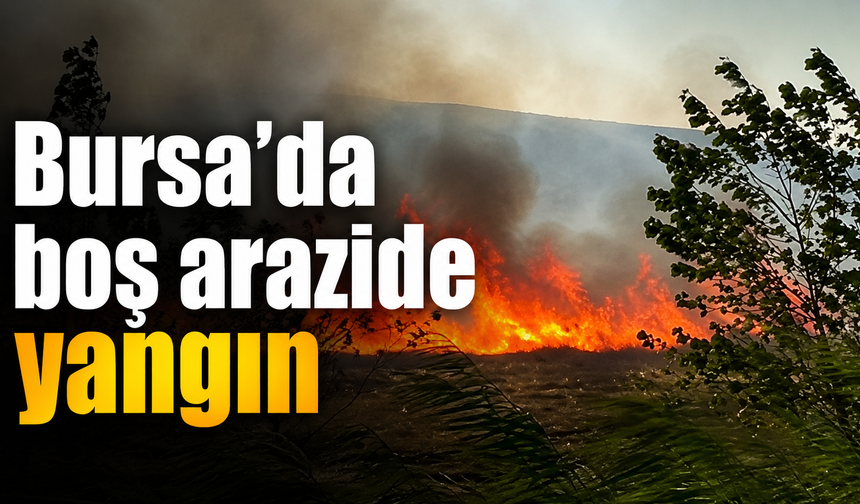 Bursa’da boş arazide yangın