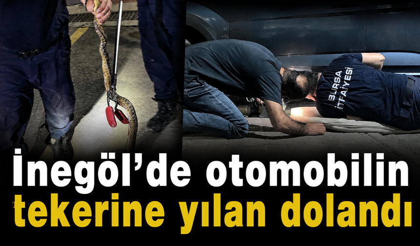 İnegöl’de otomobilin tekerine yılan dolandı