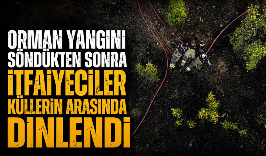 Orman yangını söndükten sonra itfaiyeciler küllerin arasında dinlendi
