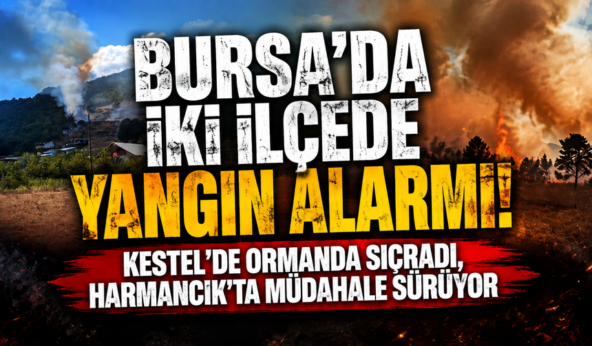 Bursa’da iki ilçede yangın alarmı! Kestel’de ormana sıçradı, Harmancık’ta müdahale sürüyor