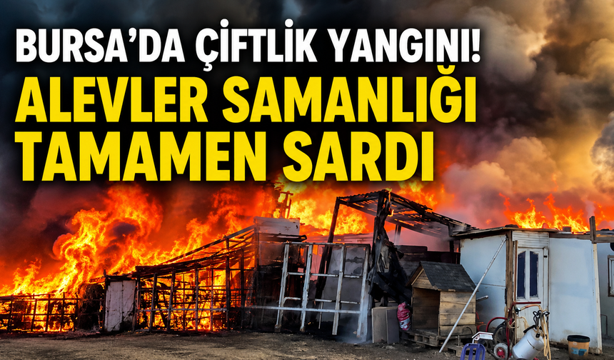 Bursa’da çiftlik yangını! Alevler samanlığı tamamen sardı