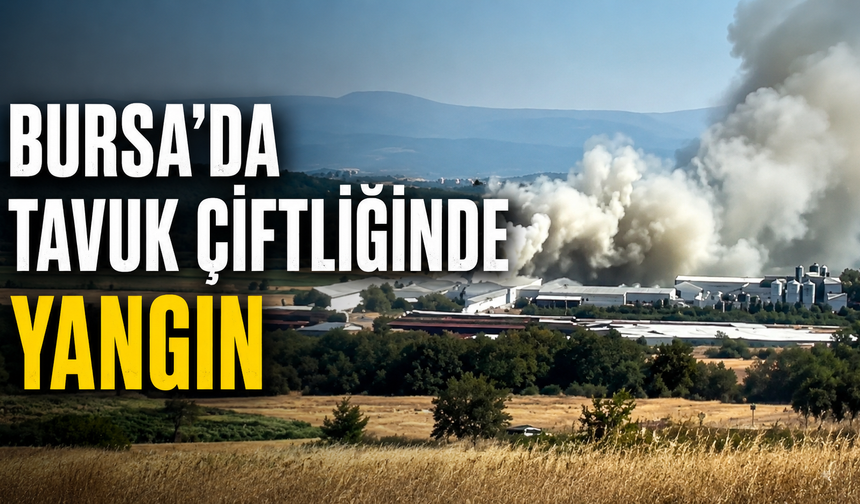 Bursa’da tavuk çiftliğinde yangın