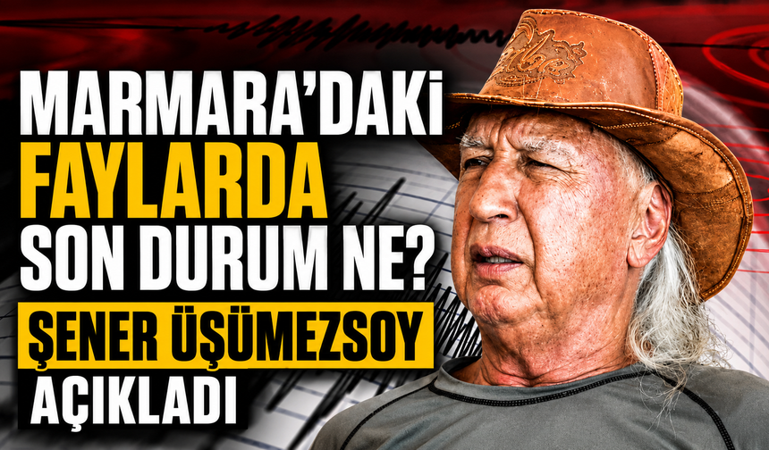 Marmara’daki faylarda son durum ne? Şener Üşümezsoy açıkladı