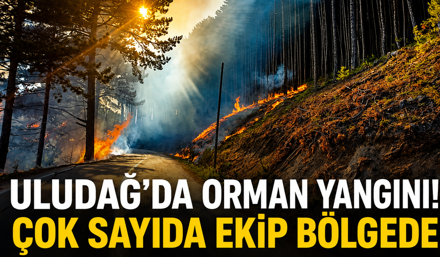 Uludağ’da Orman Yangını! Ekipler Havadan ve Karadan Müdahale Ediyor