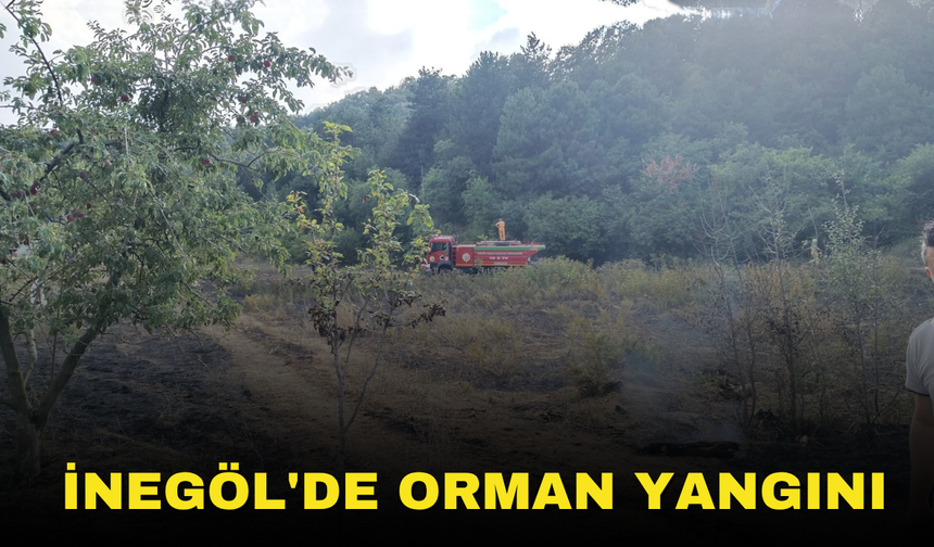 İnegöl'de orman yangını