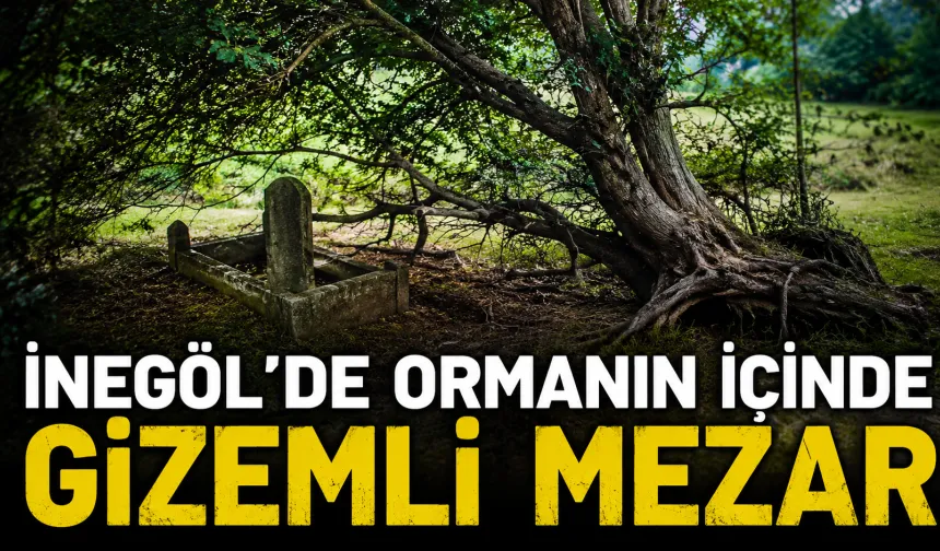 İnegöl’de ormanın içinde gizemli mezar: Tek başına duran mezarın başında dev ağaç