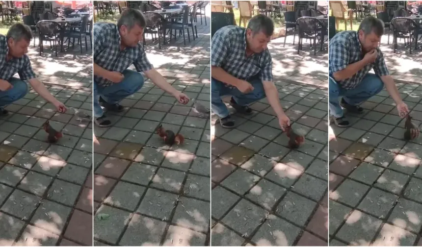 İnegöl’de sincap ve kumruyu elleriyle besledi
