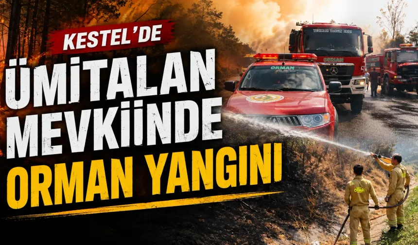 Kestel'de Ümitalan Mevkiinde Orman Yangını