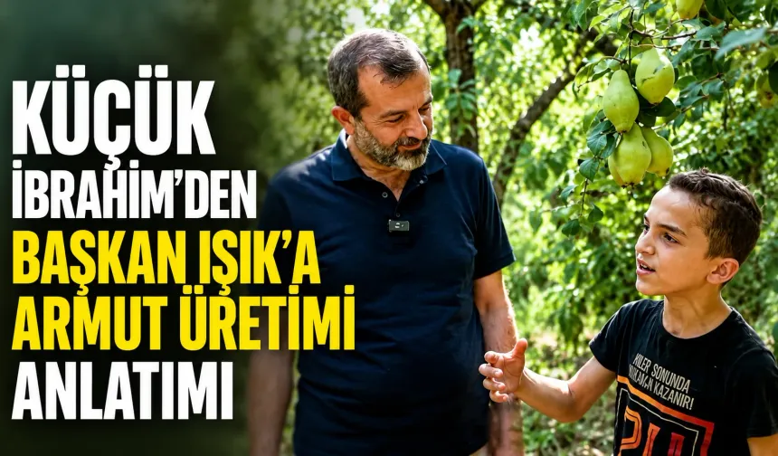 Küçük İbrahim’den Başkan Işık’a armut üretimi anlatımı