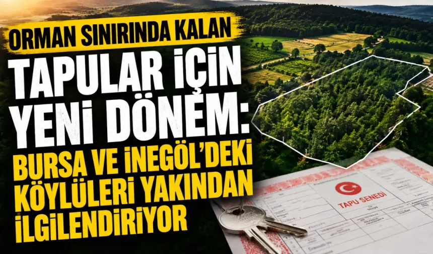 Orman sınırında kalan tapular için yeni dönem: Bursa ve İnegöl'deki köylüleri yakından ilgilendiriyor