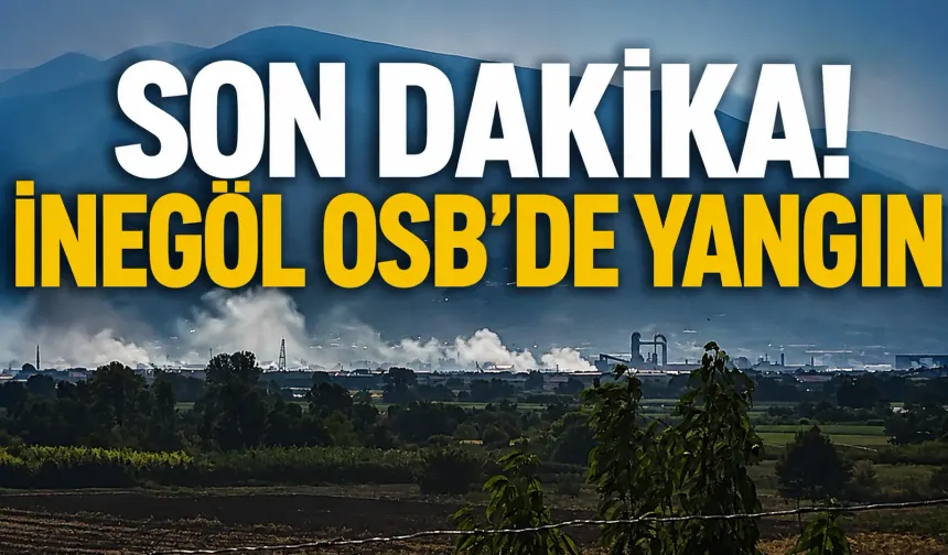 SON DAKİKA | İnegöl OSB’de yangın
