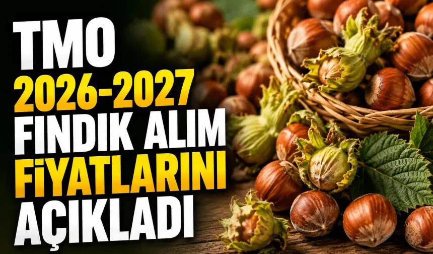 TMO 2026-2027 fındık alım fiyatlarını açıkladı