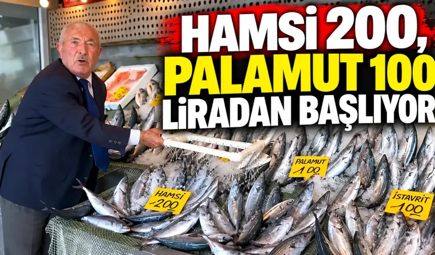 Balık sezonunda tezgâhlar hareketlendi: Hamsi 200, palamut 100 liradan başlıyor