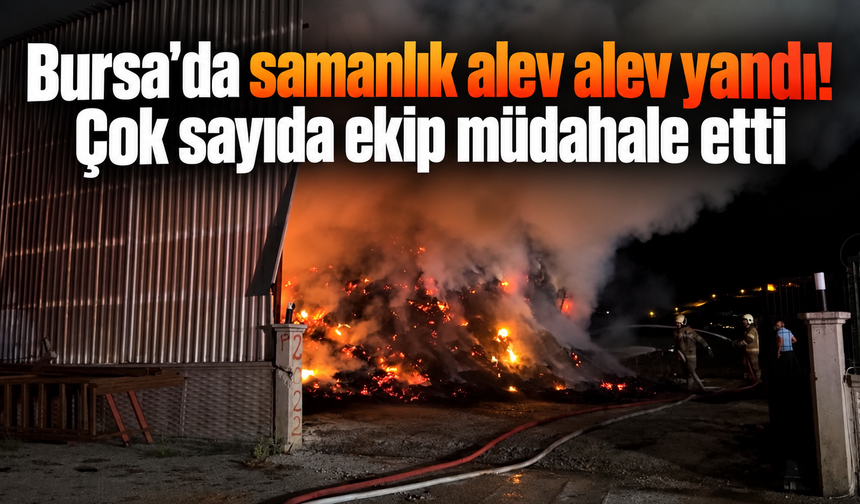 Bursa’da samanlık alev alev yandı! Çok sayıda ekip müdahale etti