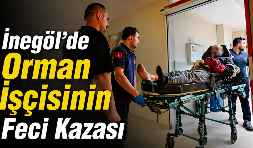 İnegöl’de Orman İşçisinin Feci Kazası