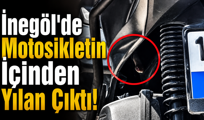 İnegöl'de Motosikletin İçinden Yılan Çıktı!