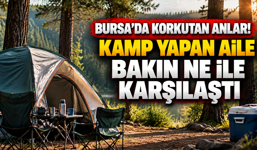 Bursa’da korkutan anlar! Kamp yapan aile Bakın Ne İle Karşılaştı