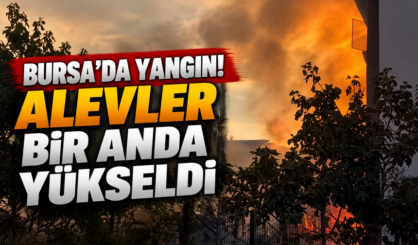 Bursa’da yangın! Alevler bir anda yükseldi
