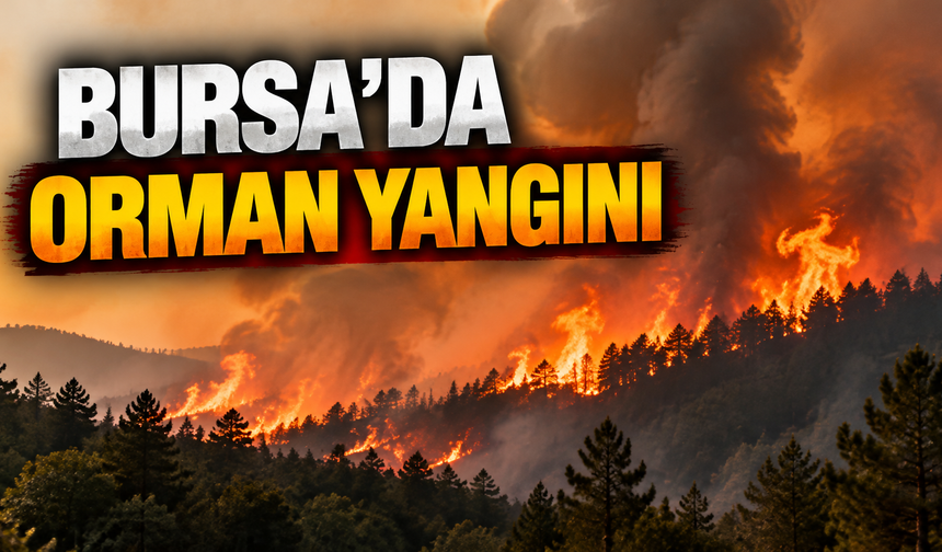 Bursa'da Orman Yangını