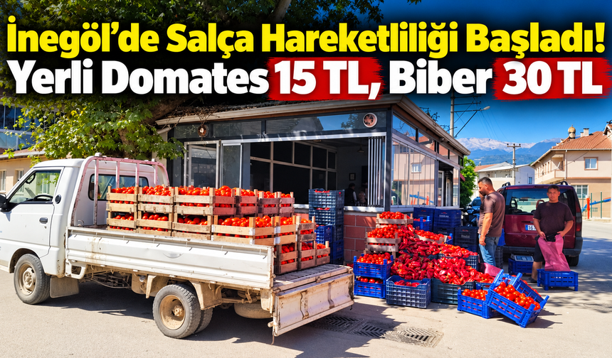 İnegöl’de Salça Hareketliliği Başladı! Yerli Domates 15 TL, Biber 30 TL