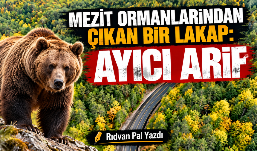 MEZİT ORMANLARINDAN ÇIKAN BİR LAKAP: AYICI ARİF
