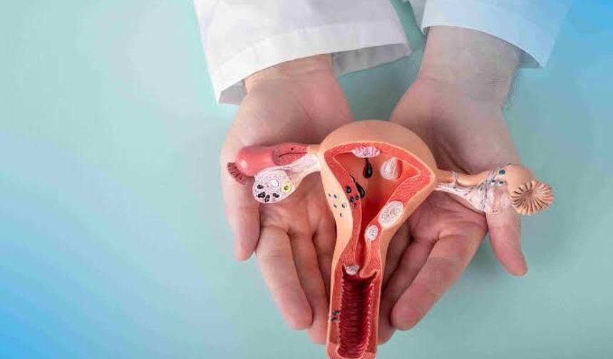Folikül Nedir? Folikül Türleri Ve Bozuklukları Nelerdir?