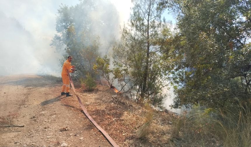 Bursa’da orman yangını: Ekipler havadan ve karadan müdahale ediyor