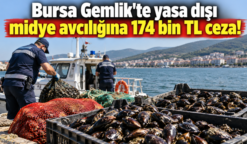 Bursa Gemlik'te yasa dışı midye avcılığına 174 bin TL ceza!