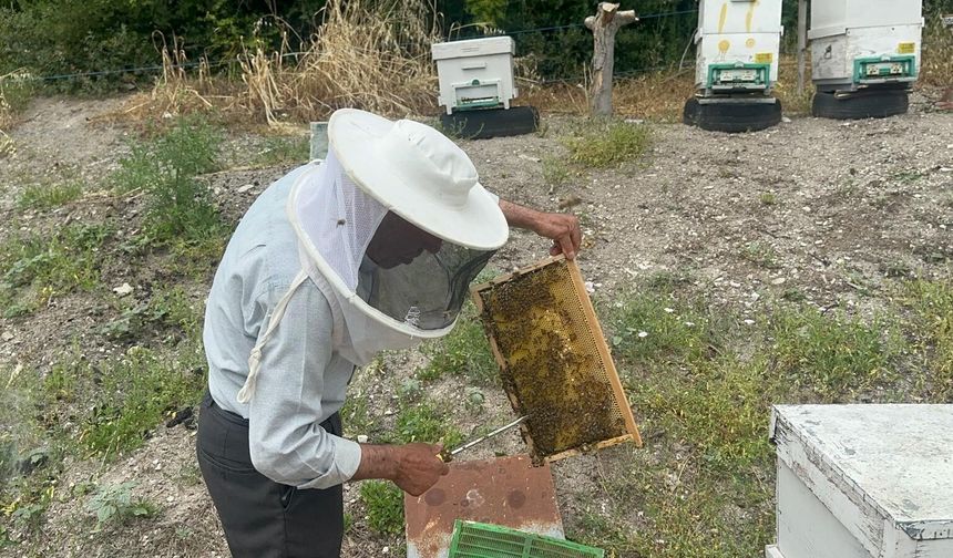 Bursa'da 75 yaşındaki emekli başgardiyan, ürettiği balı 20 yıldır Avrupa’ya gönderiyor