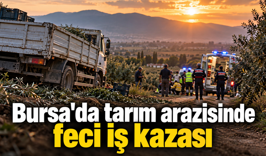 Bursa'da tarım arazisinde feci iş kazası