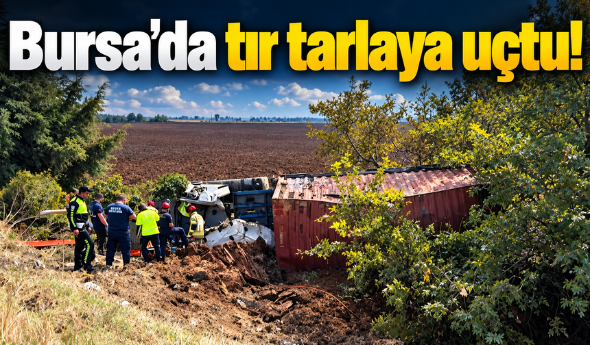 Bursa’da tır tarlaya uçtu!