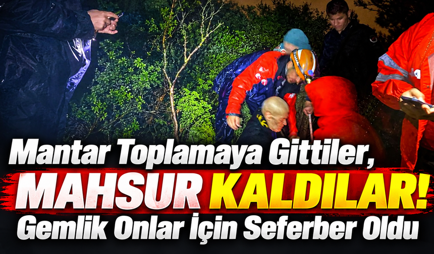 Mantar Toplamaya Gittiler Mahsur Kaldılar Gemlik Onlar İçin Seferber Oldu.