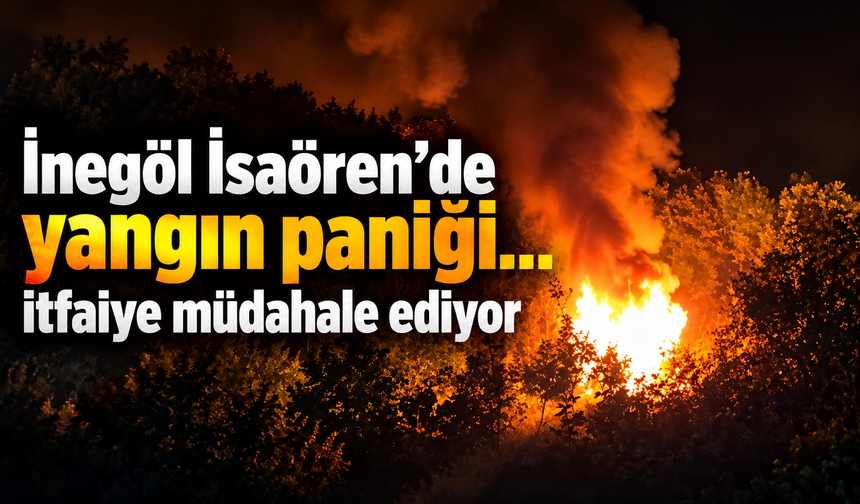 İnegöl İsaören’de yangın paniği.. itfaiye müdahale ediyor
