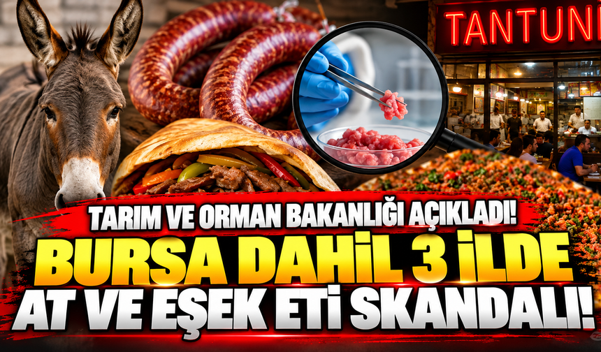Tarım ve Orman Bakanlığı açıkladı! Bursa dahil 3 ilde at ve eşek eti skandalı