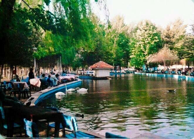 2-kuğulu park (4)