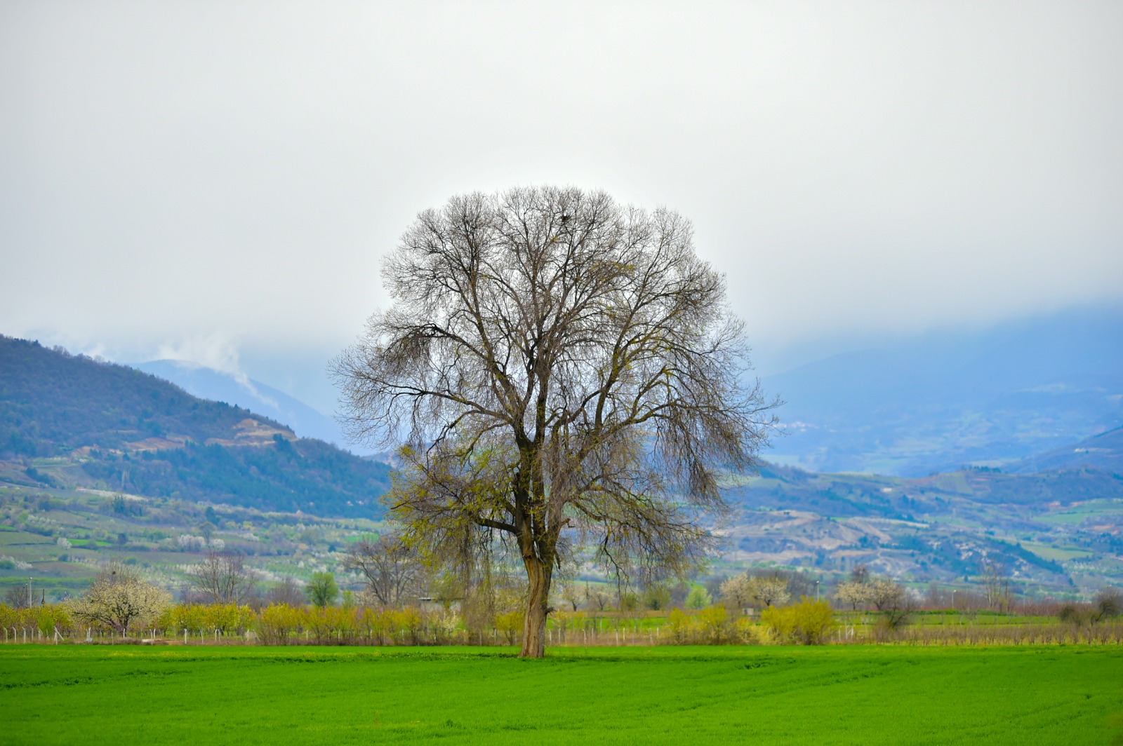 Şaban KILIÇÇI-2