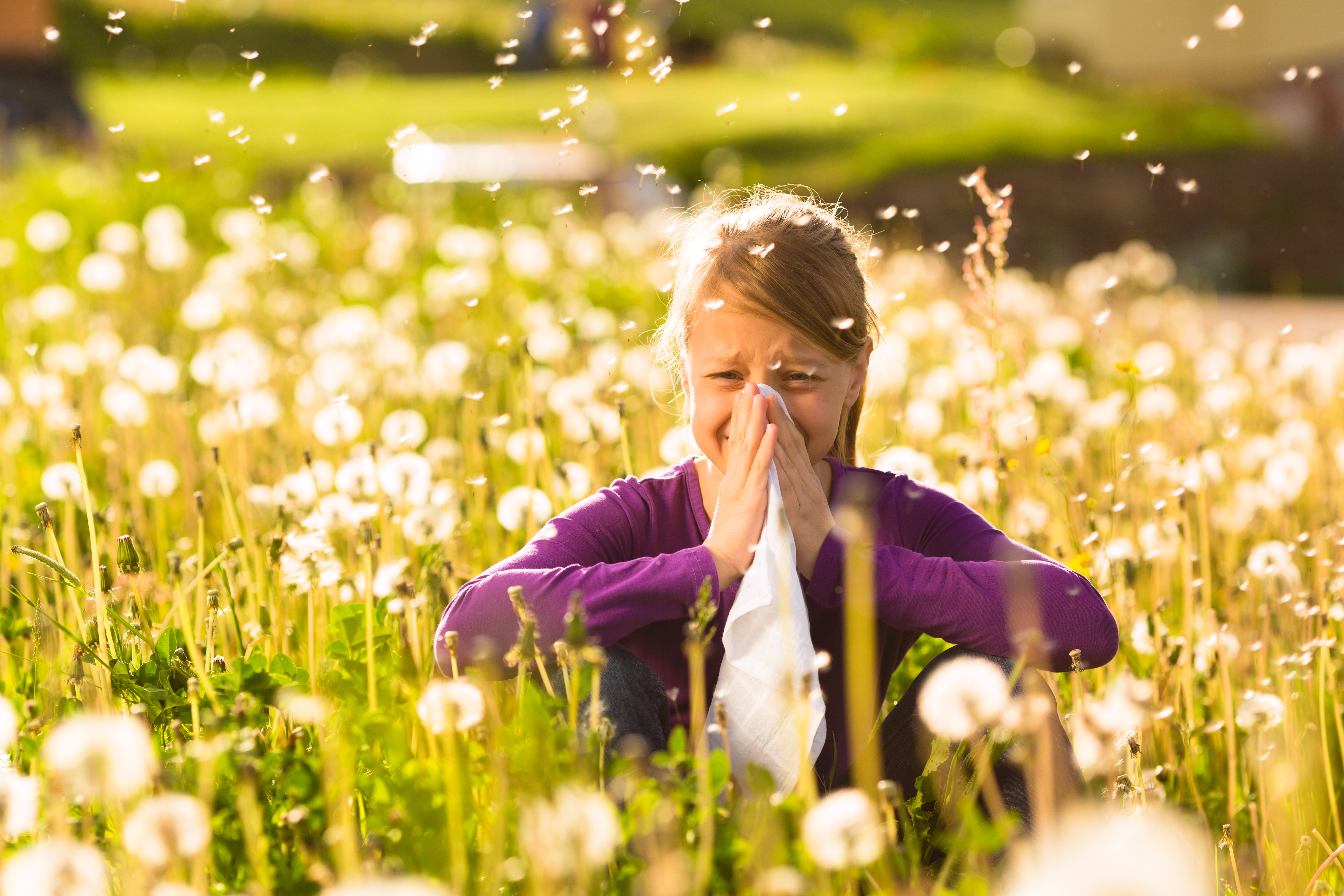 girl-sitting-meadow-with-dandelions-has-hay-fever-allergy