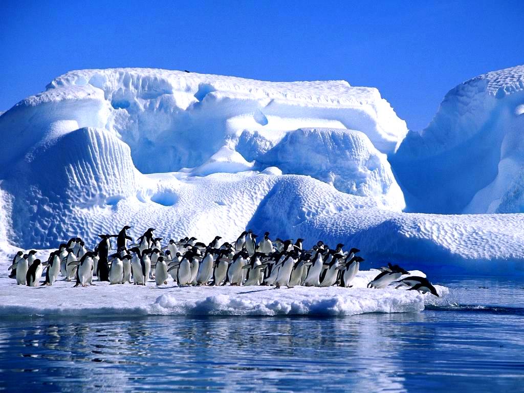 antartika