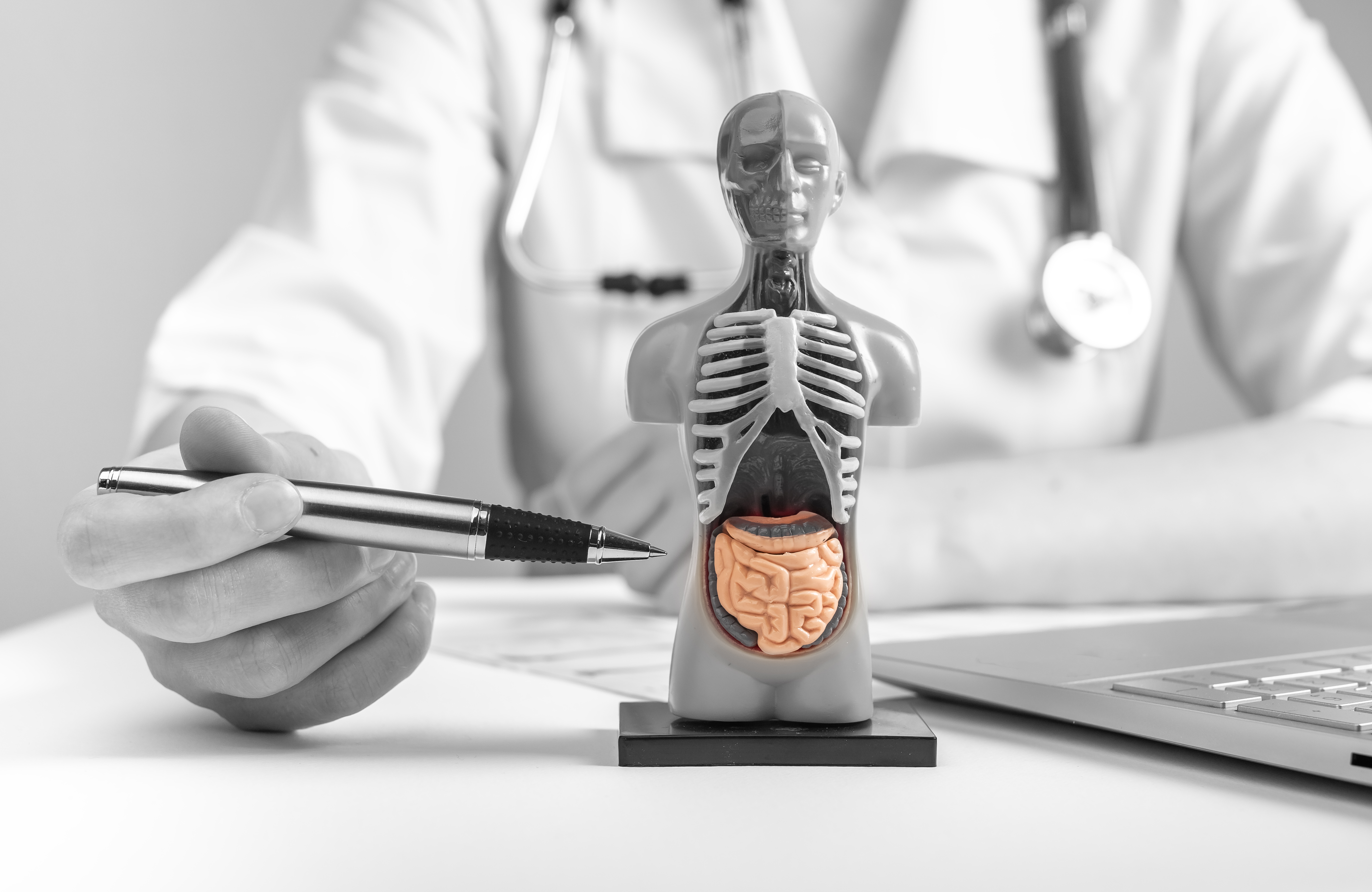 doctor-showing-internal-organs-3d-human-model-woman-with-stethoscope-lab-coat-sitting-desk-with-laptop-anatomy-online-medical-education-concept-black-white