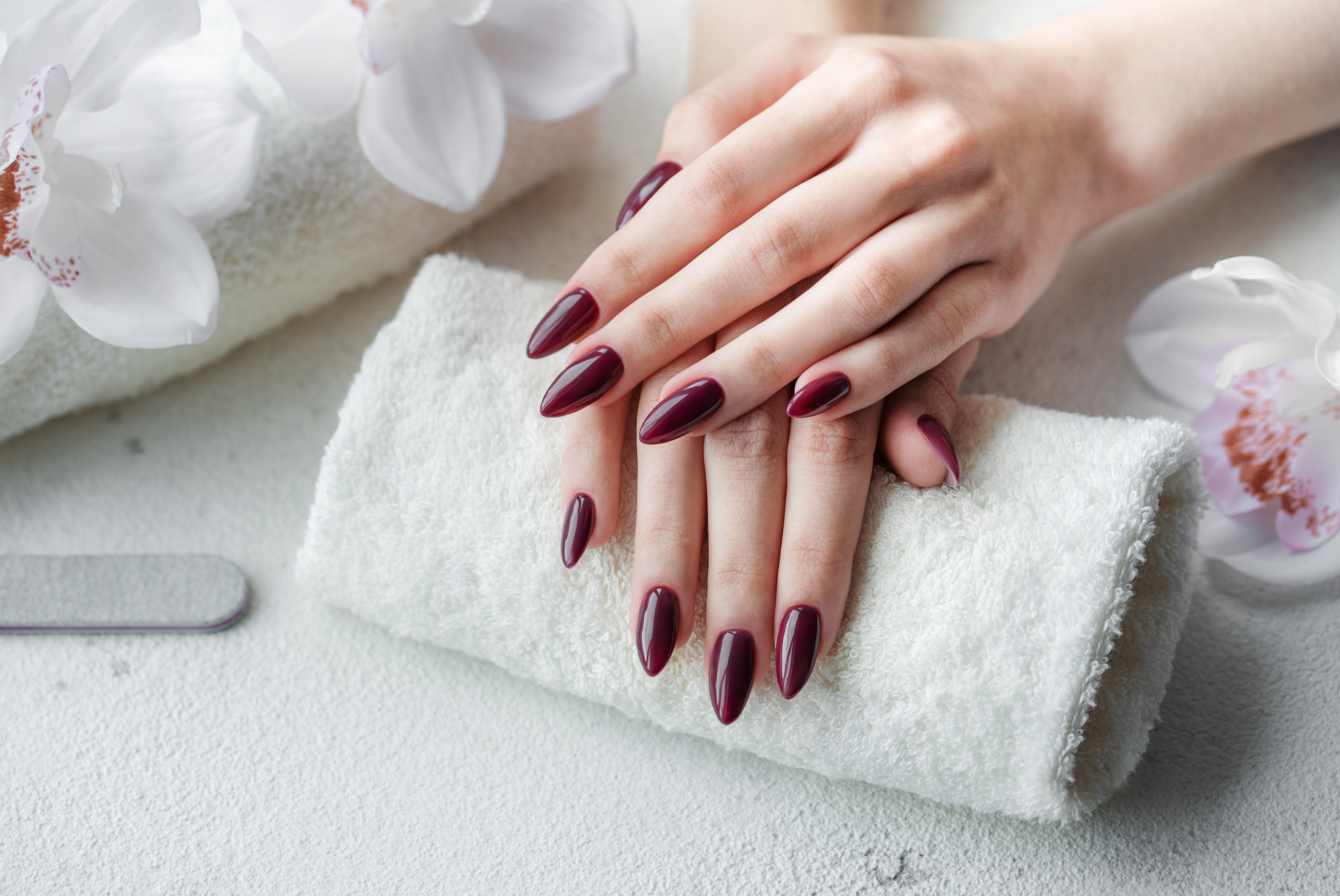 hands-young-woman-with-dark-red-manicure-nails