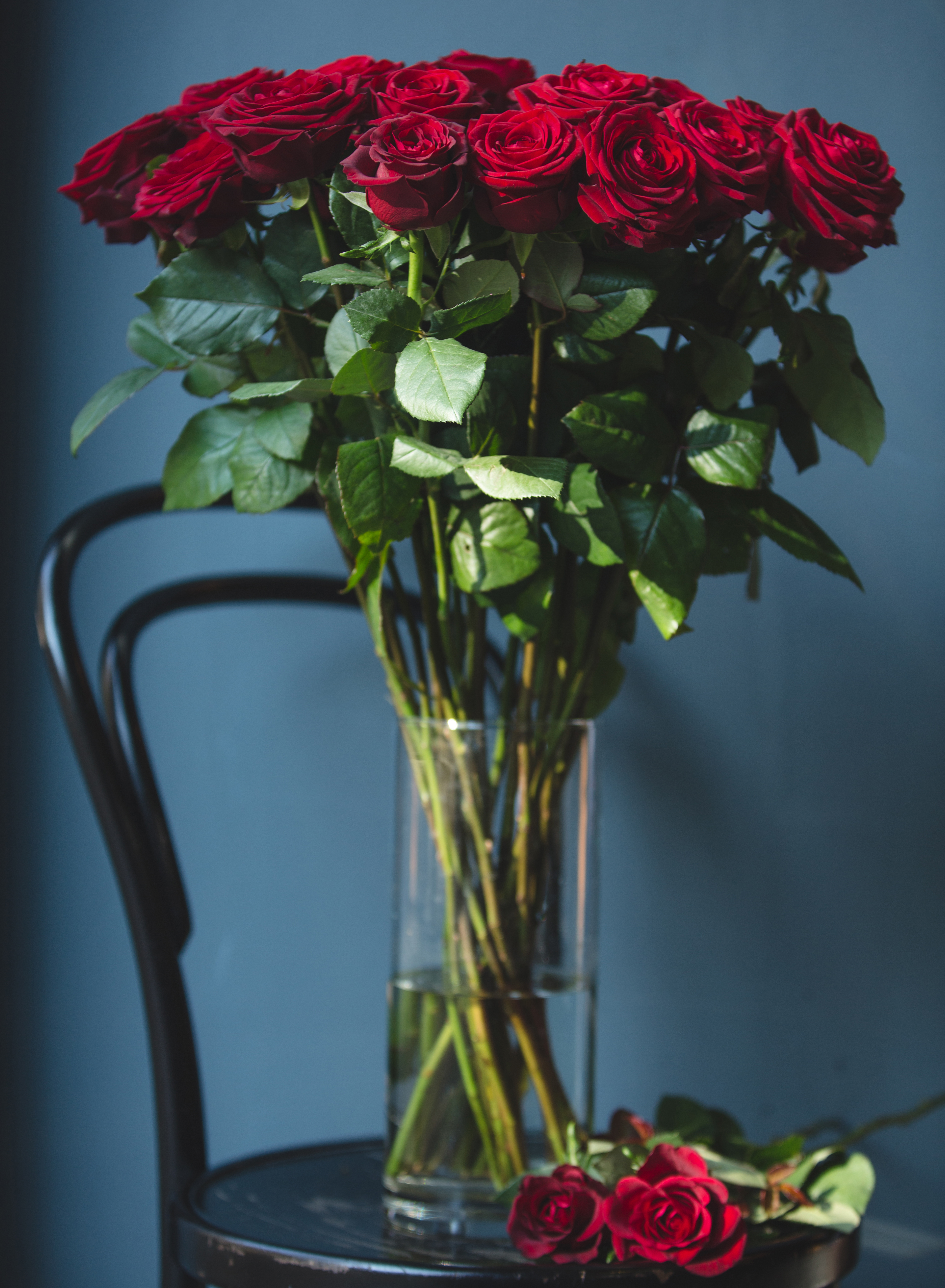 romantic-bunch-red-velvet-roses-inside-vase-with-wate