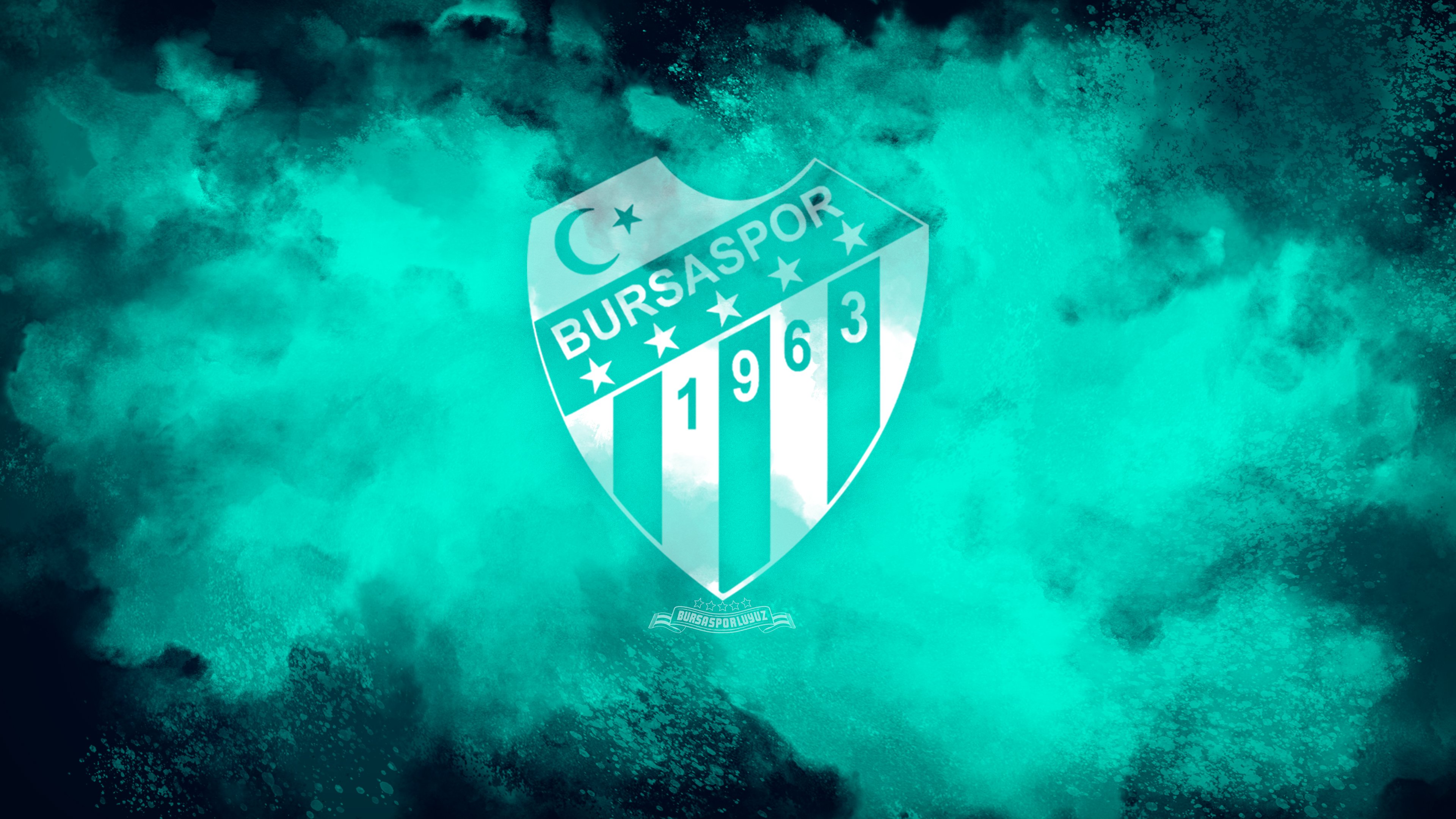 Bursaspor-3