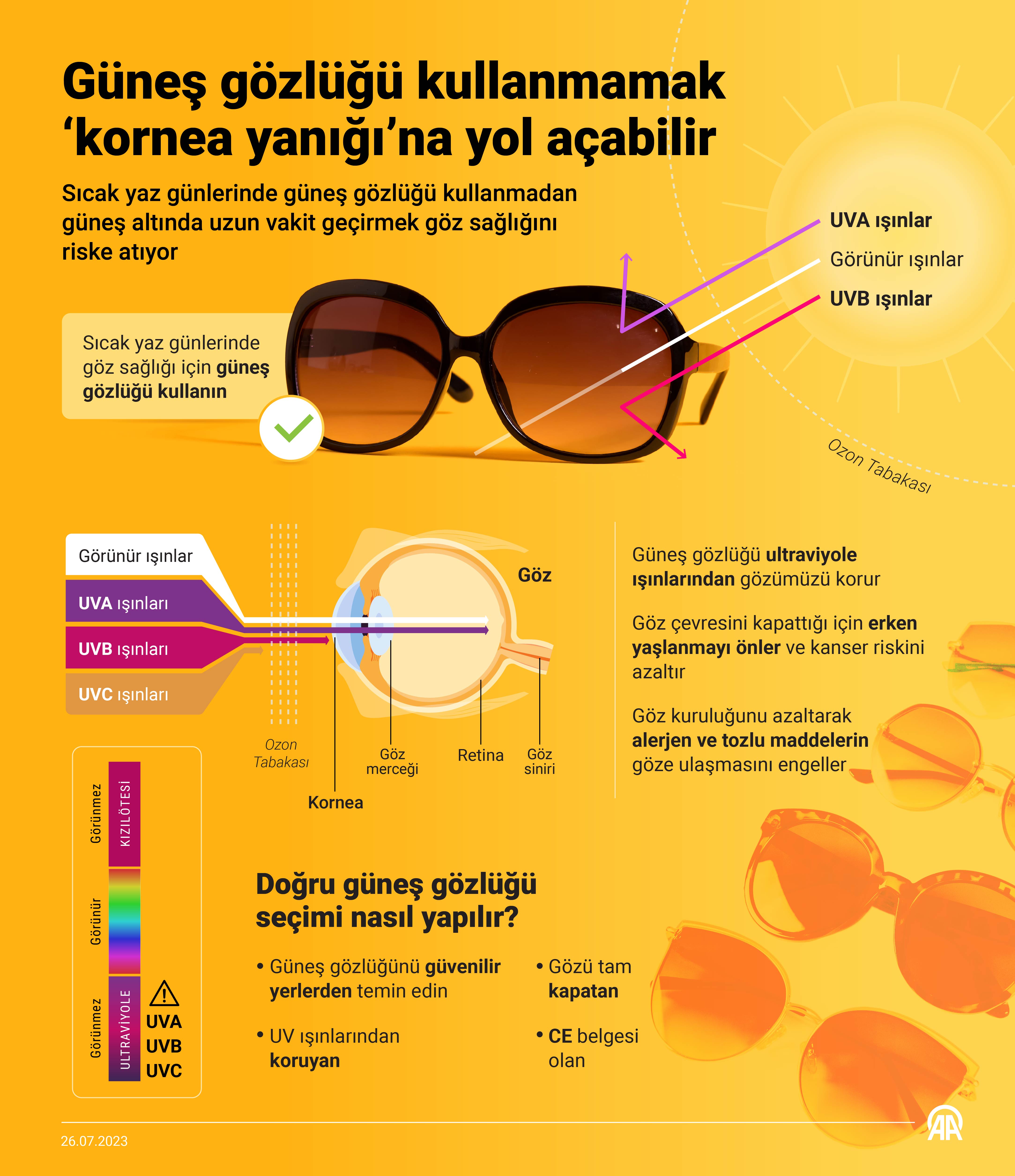 güneş gözlük (2)