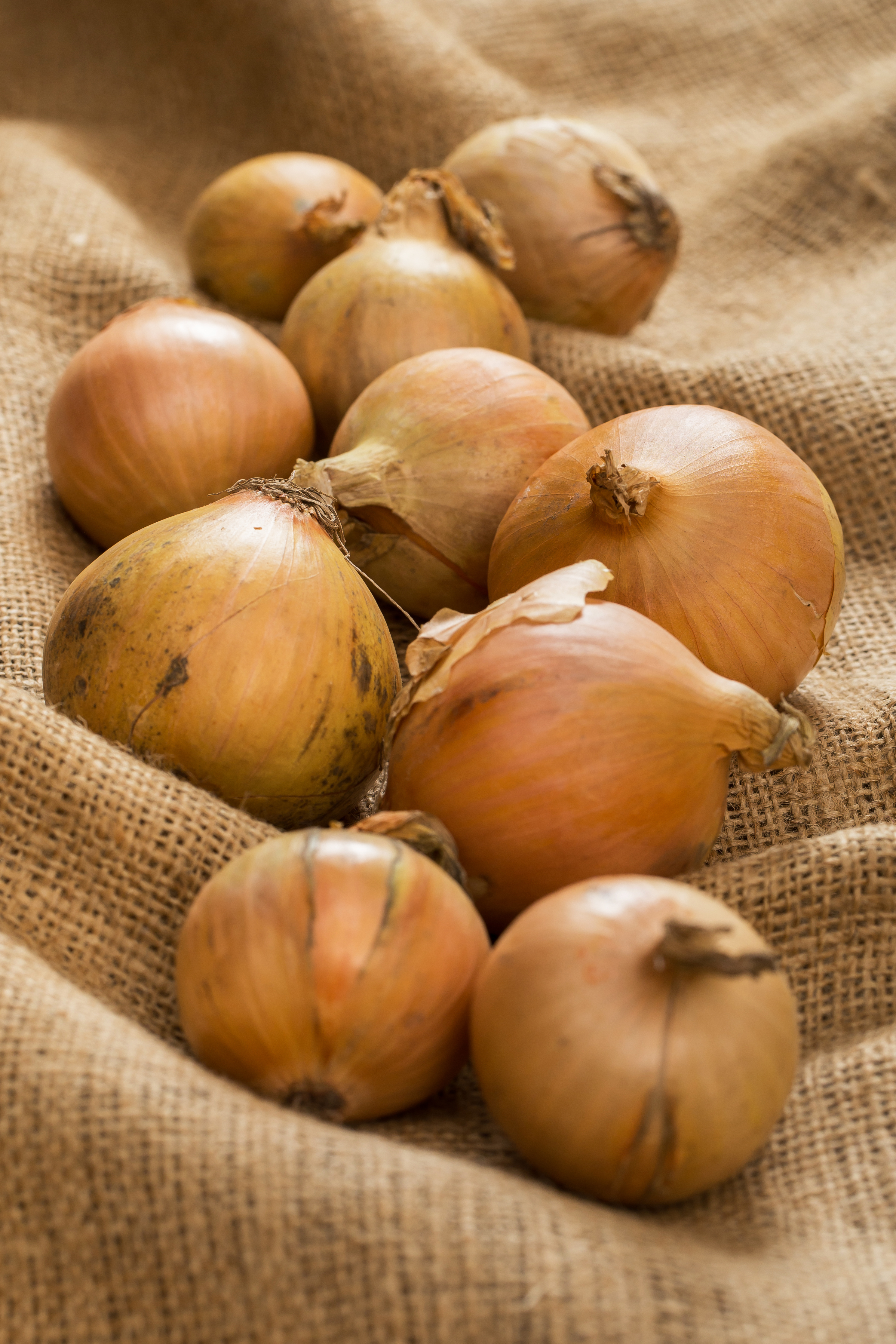 onions-blanket