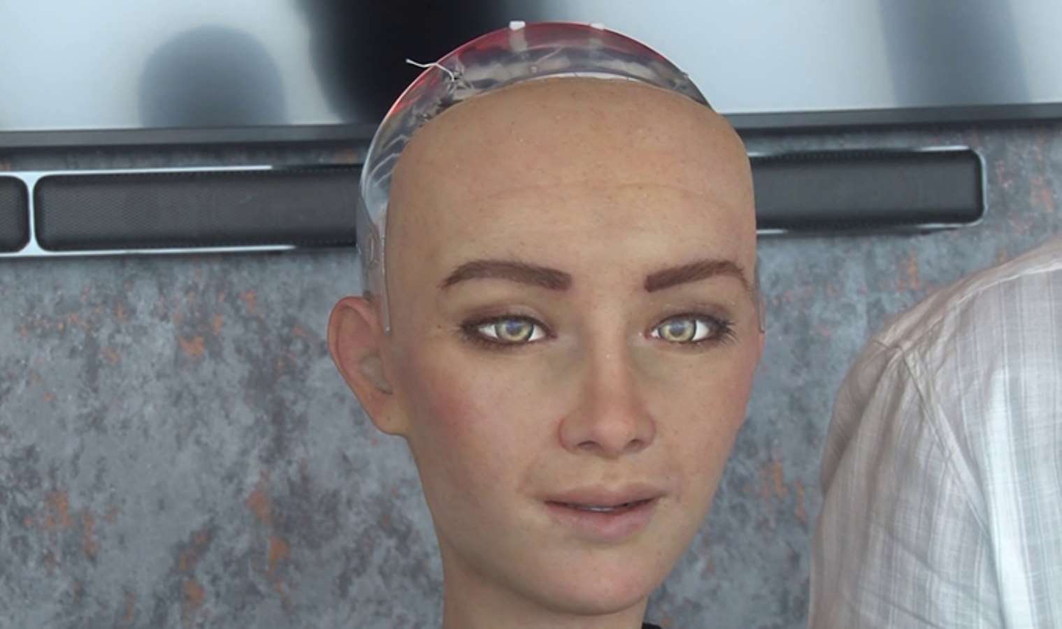 robot2