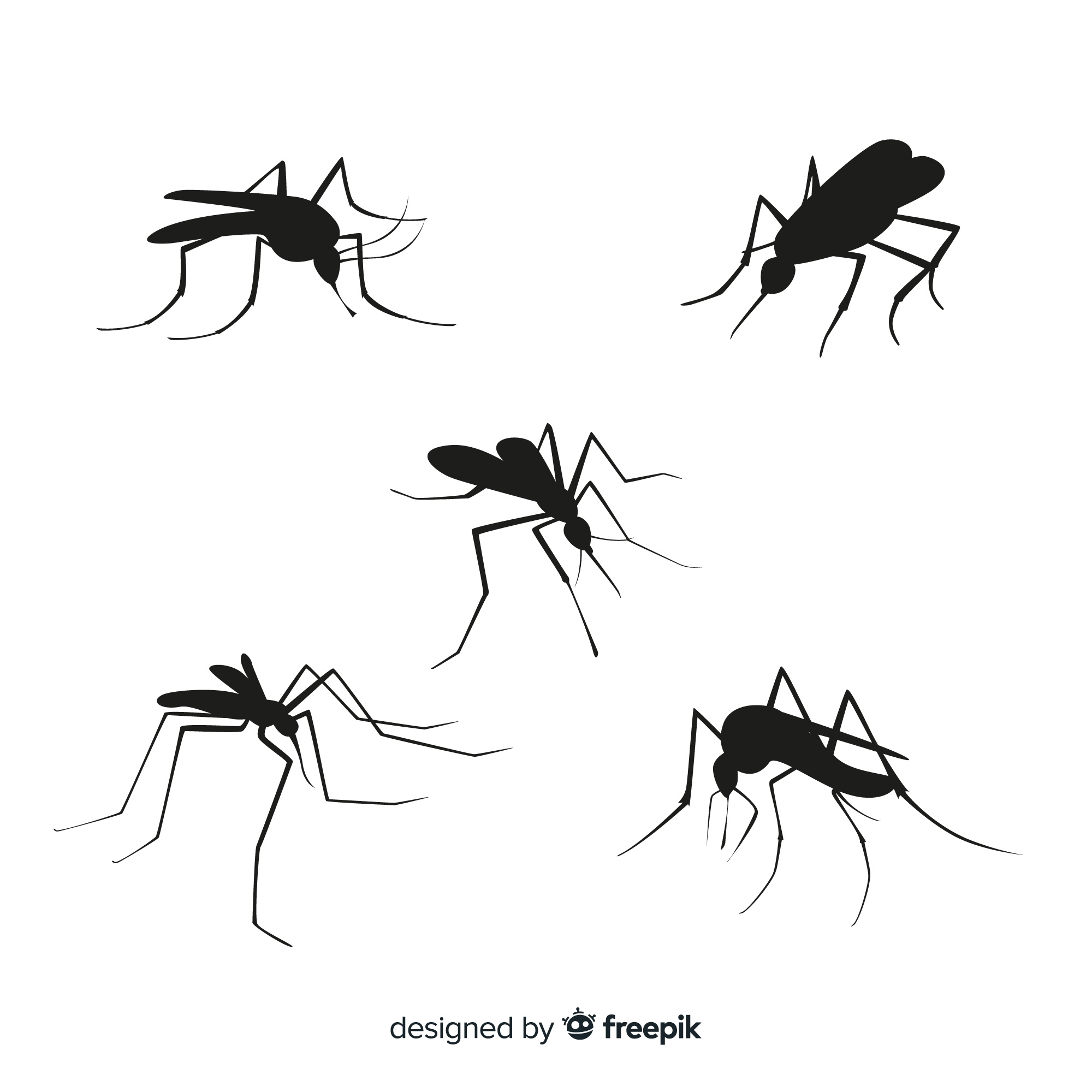 sivrisinek (1)