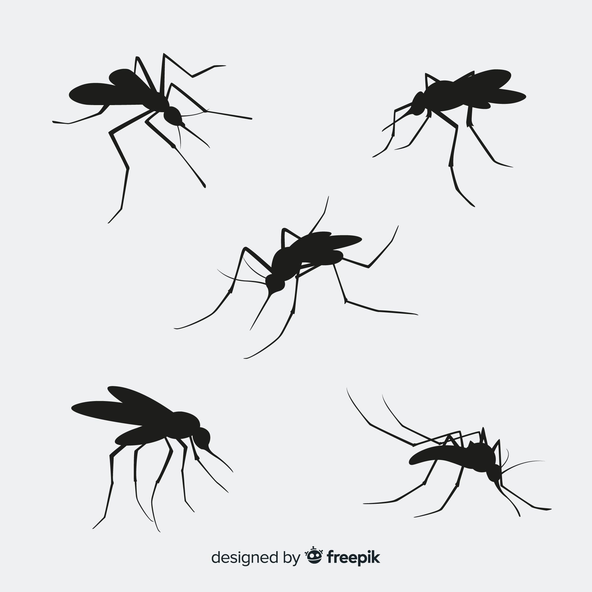 sivrisinek (2)