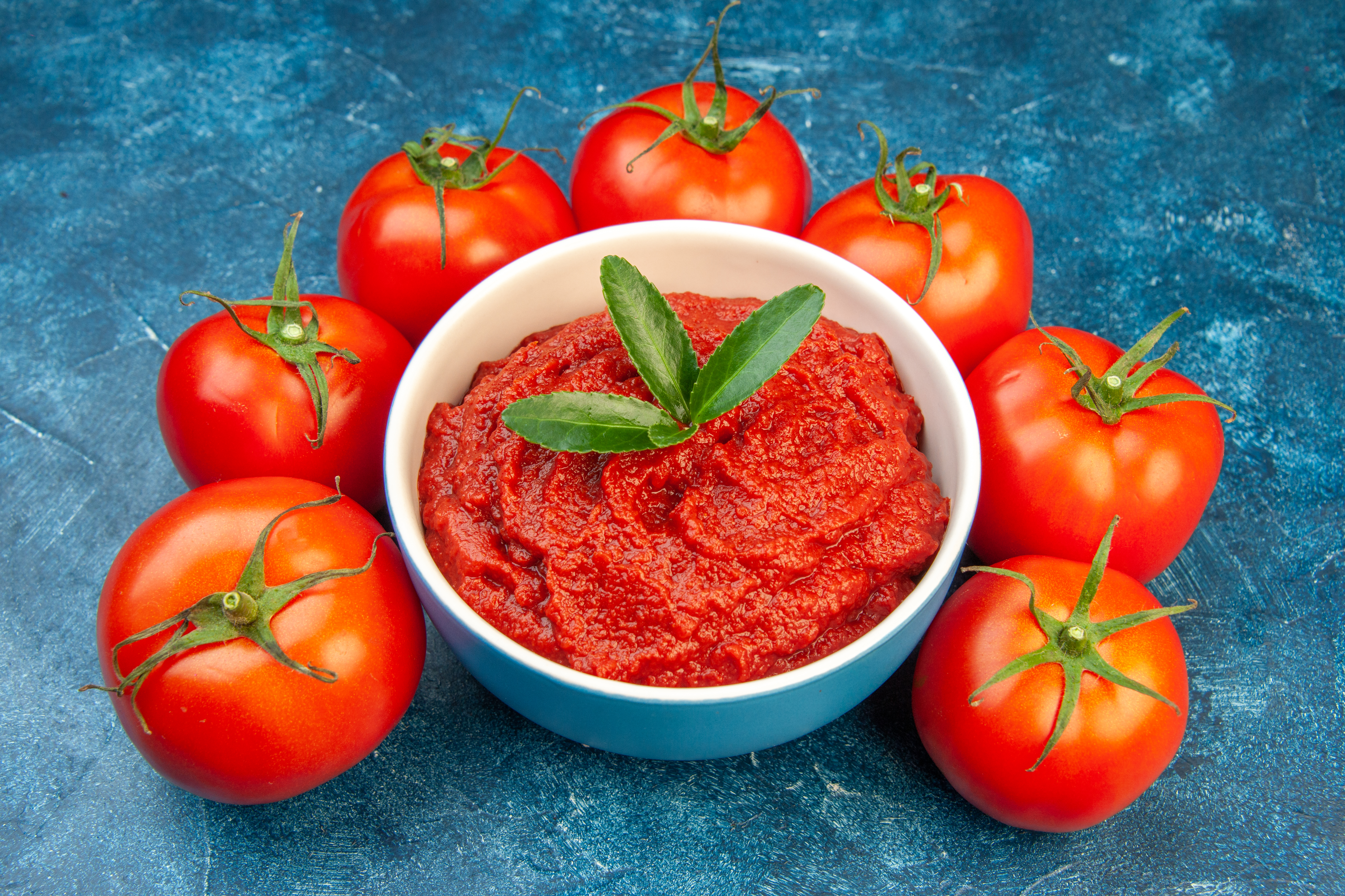 front-view-fresh-tomatoes-with-tomato-paste-blue-salad-red-tree-vegetable-color-food-ripe