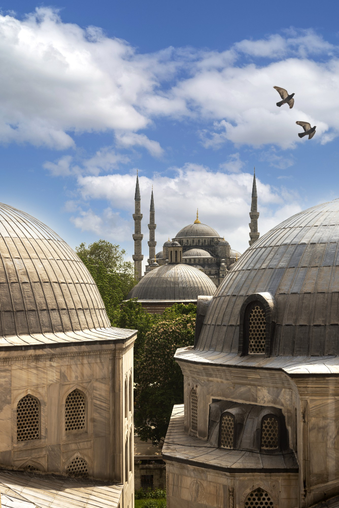 vertical-shot-lovely-istanbul-mosque-with-dome-roof-beautiful-cloudy-sky-with-birds